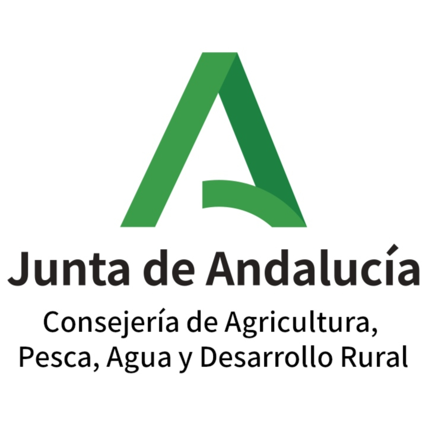 A MEDIODÍA con Milagros Calle