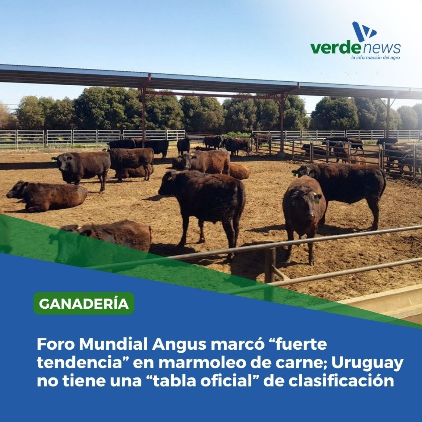 Mauricio Rodríguez - Gira Angus -06/06/25 episode artwork