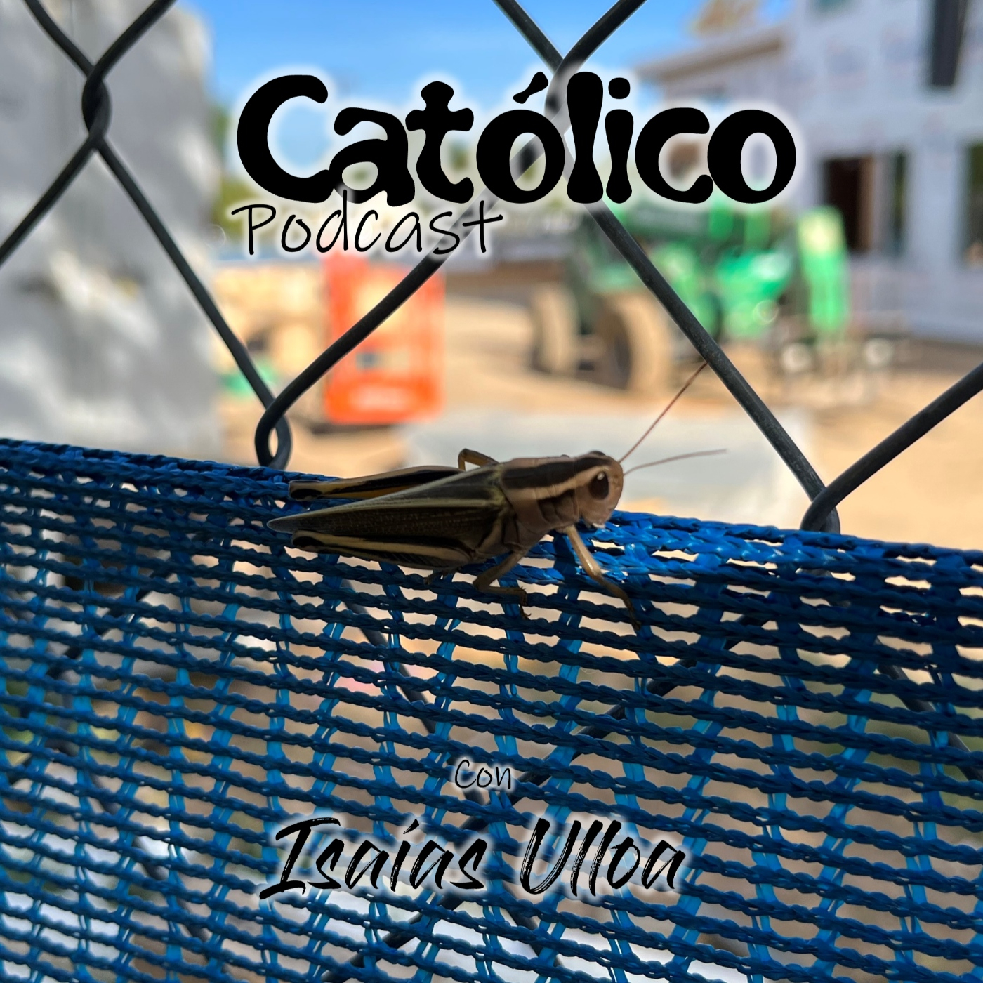 Católico