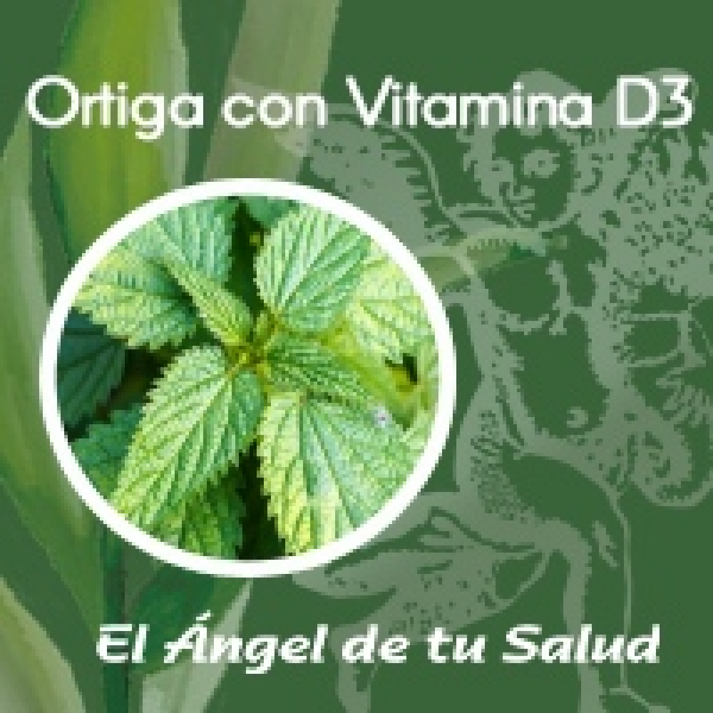 El Ángel de tu Salud - Ortiga con Vitamina D3** episode artwork