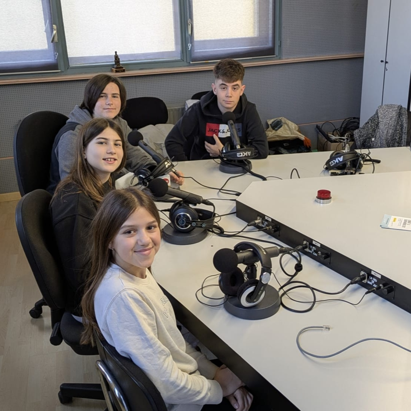 Alumnes de 1r i 4t d'ESO ens parlen de ciència episode artwork