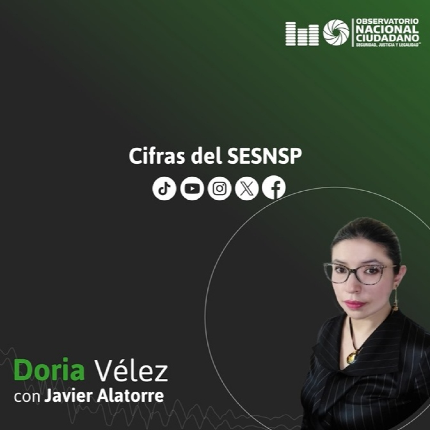 Observatorio Nacional Ciudadano