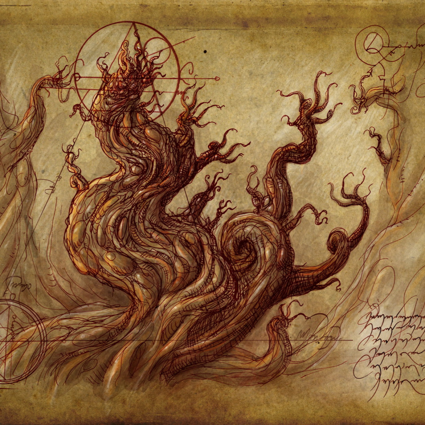 Cuentos del bosque oscuro
