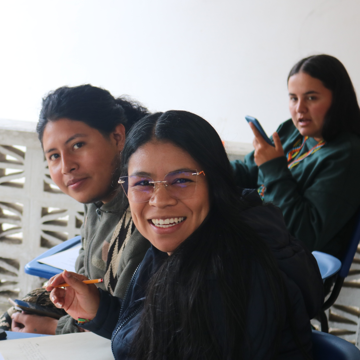 CRIDEC - Consejo Regional Indí