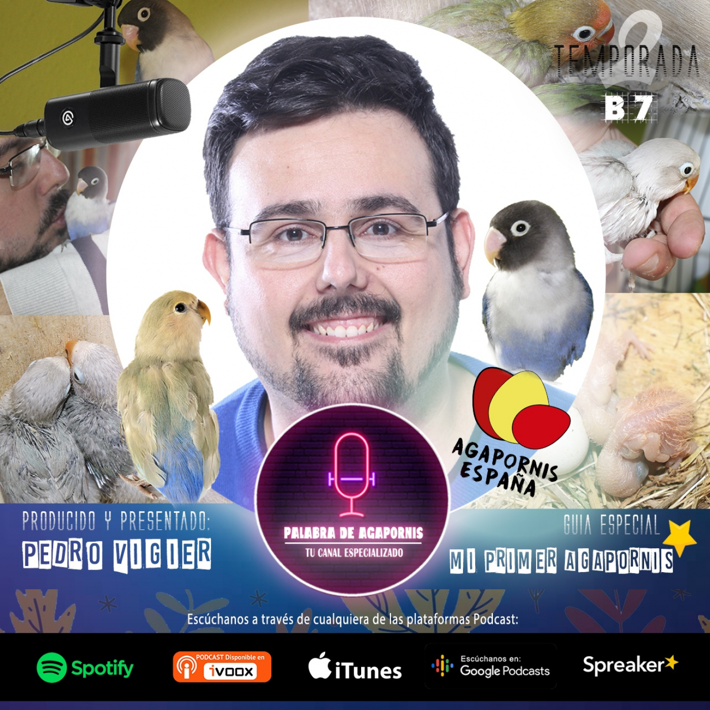 B7 Guía básica. Mi Primer Agapornis