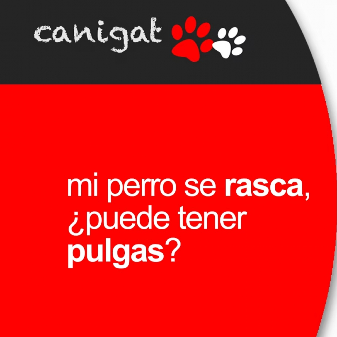 Consejos veterinarios de perros y gatos by canigat