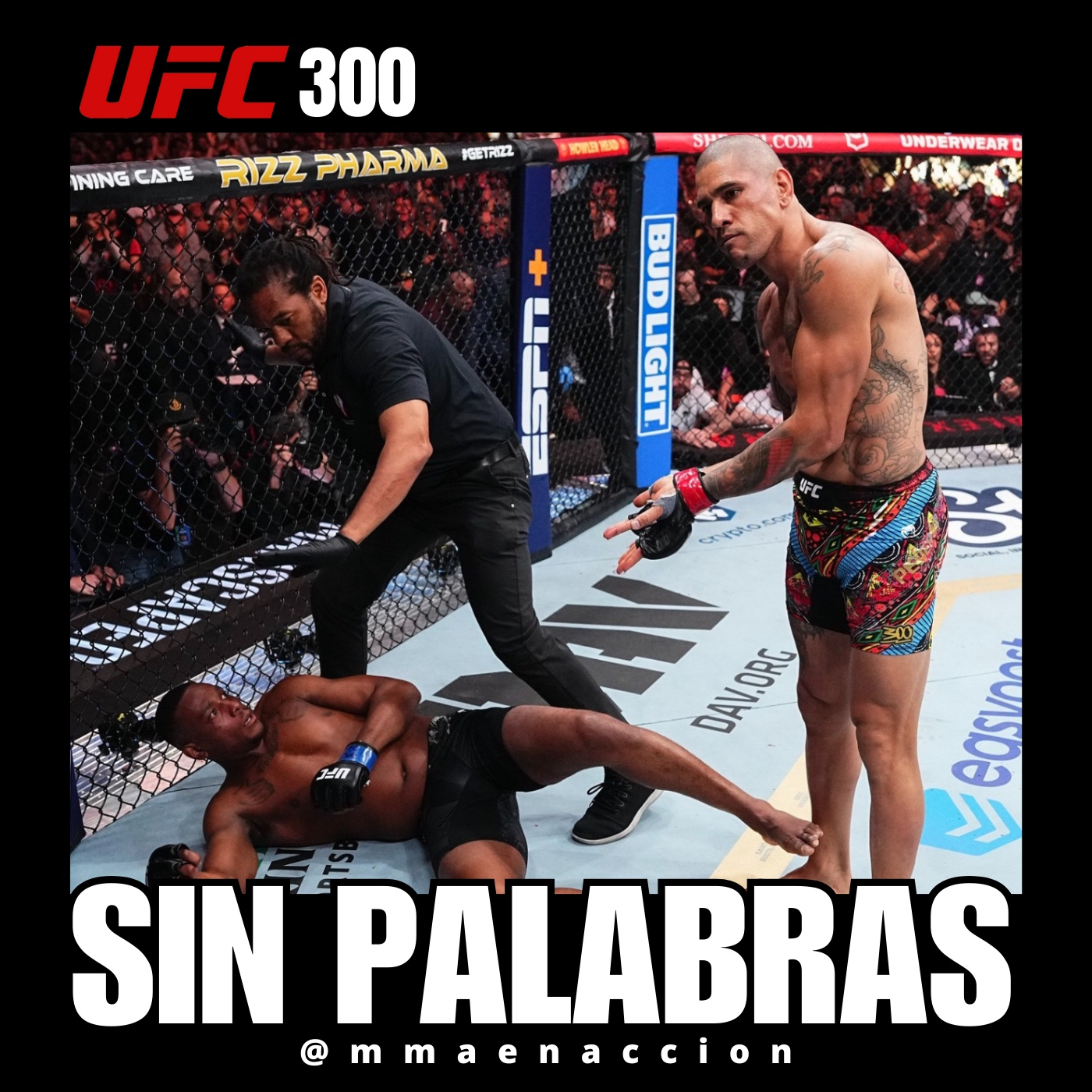 MMA en acción