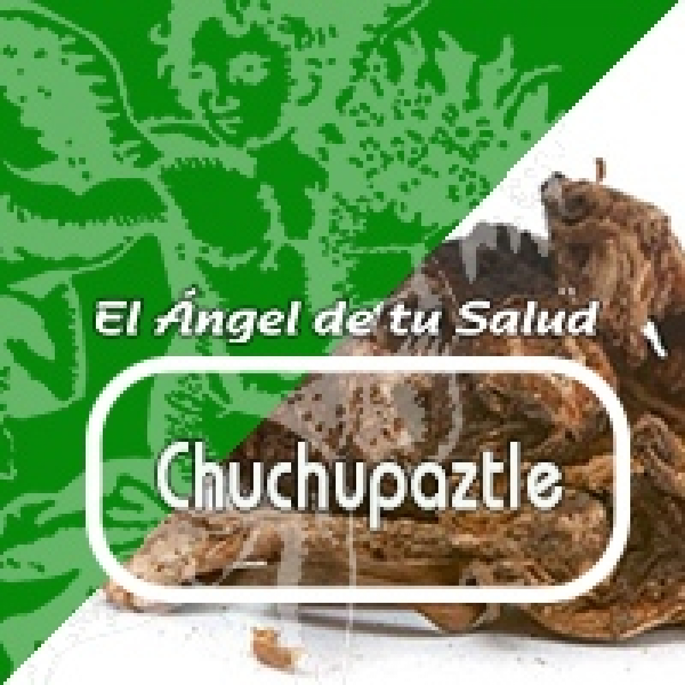 El Angel de tu Salud - CHUCHUPAZTLE ***** episode artwork