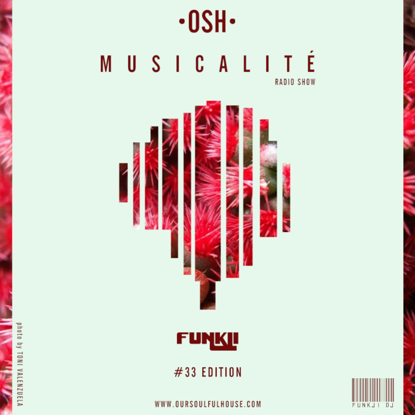 MUSICALITÉ sessions - OSH