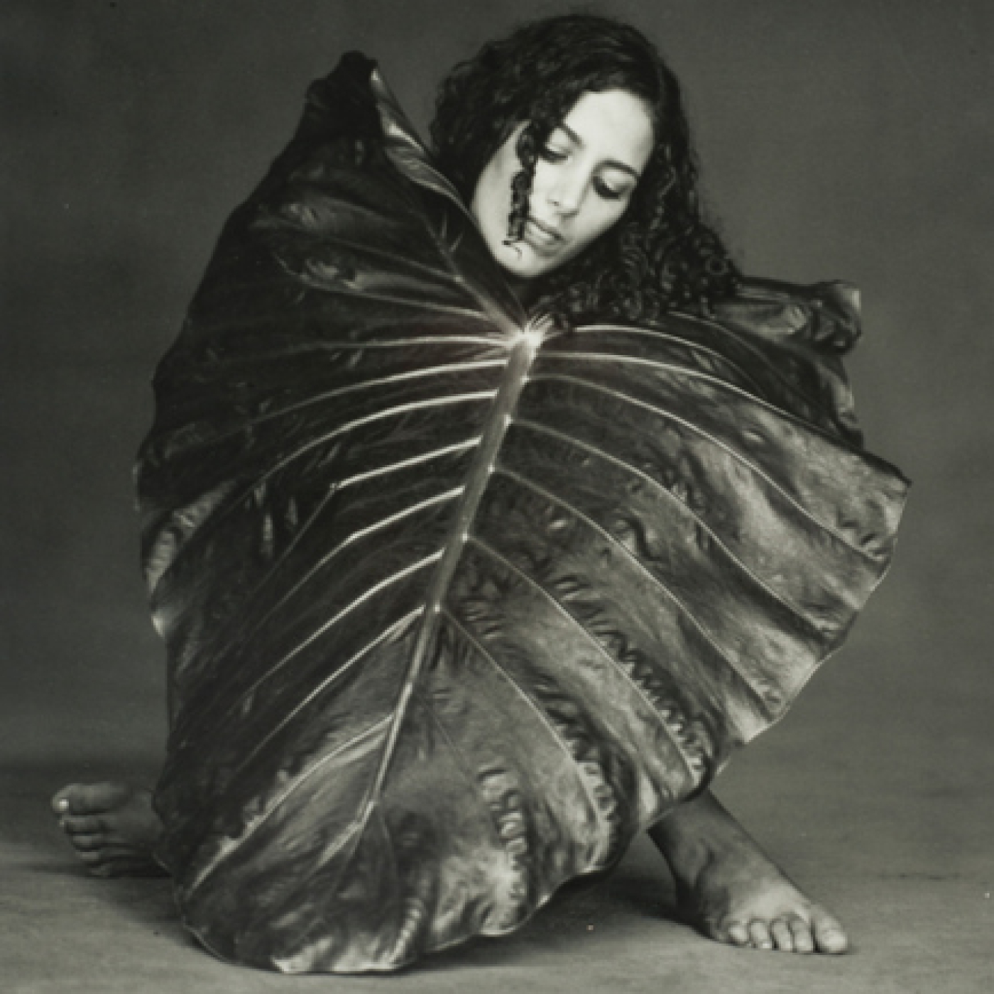 Entre el Arte y el Criterio de Flor Garduño episode artwork