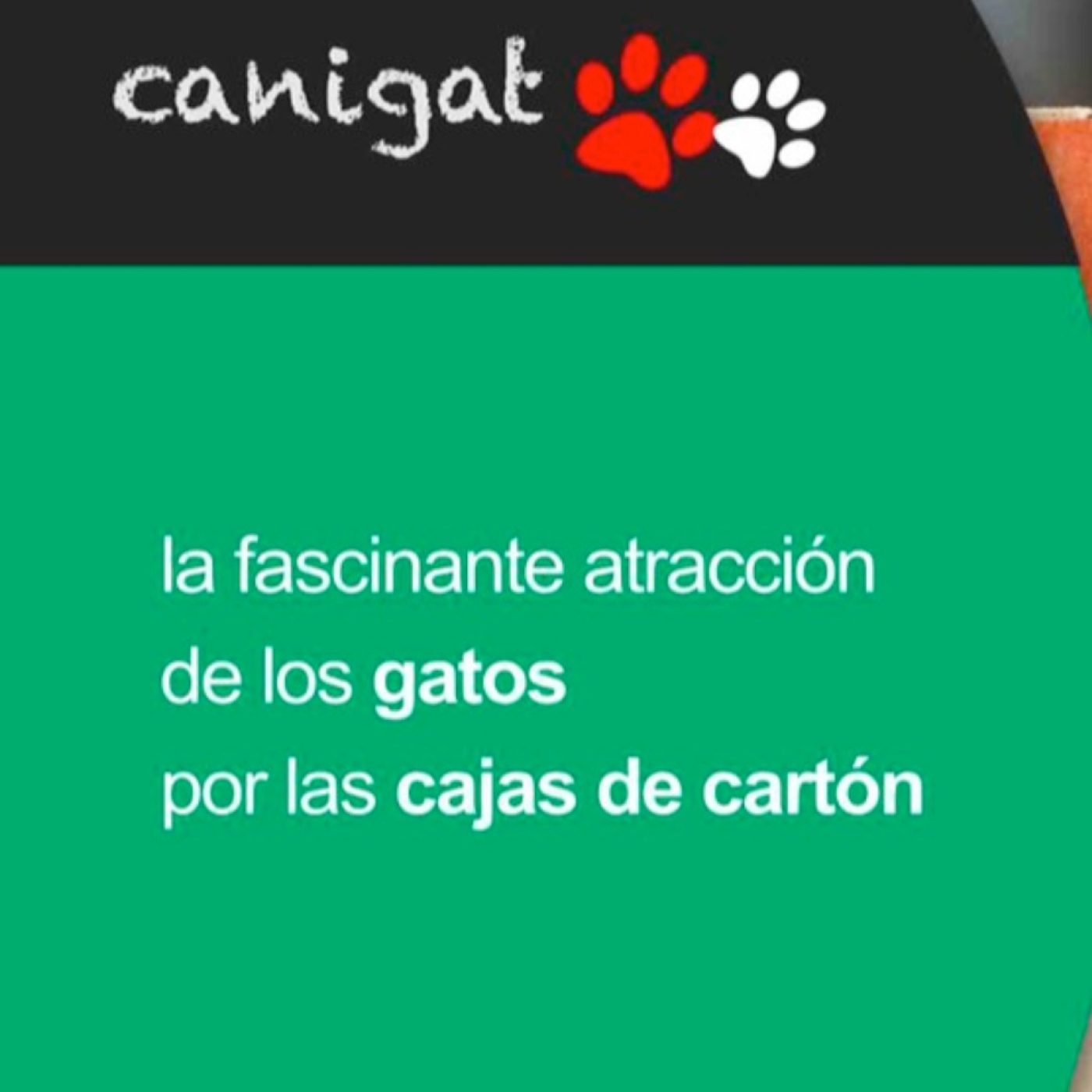 Consejos veterinarios de perros y gatos by canigat