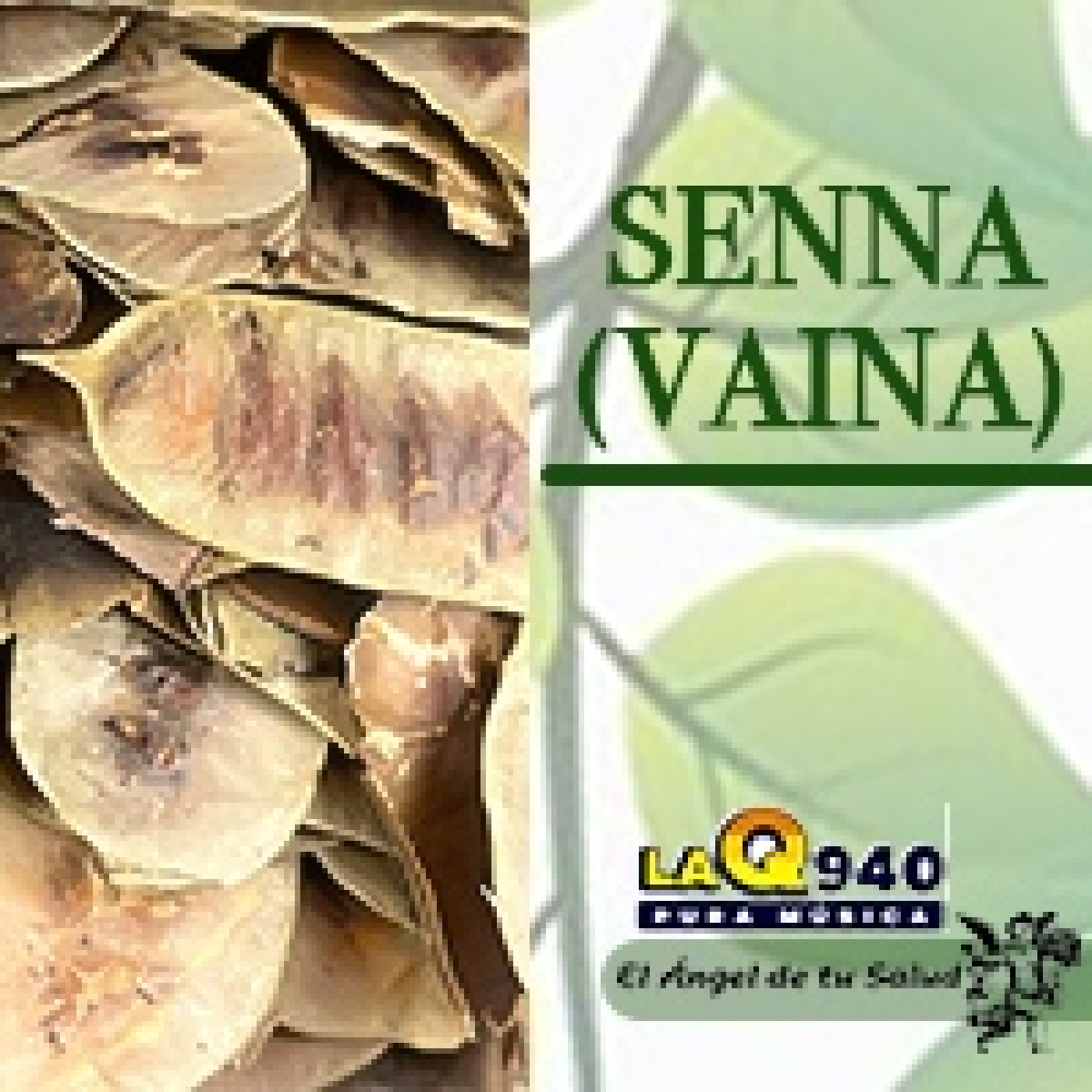 El Ángel de tu Salud - Senna (Vaina)**