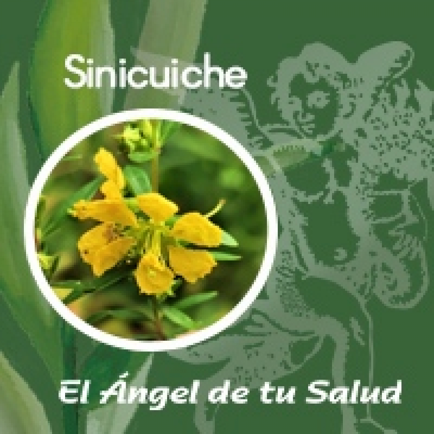 El Ángel de tu Salud - Sinicuiche**
