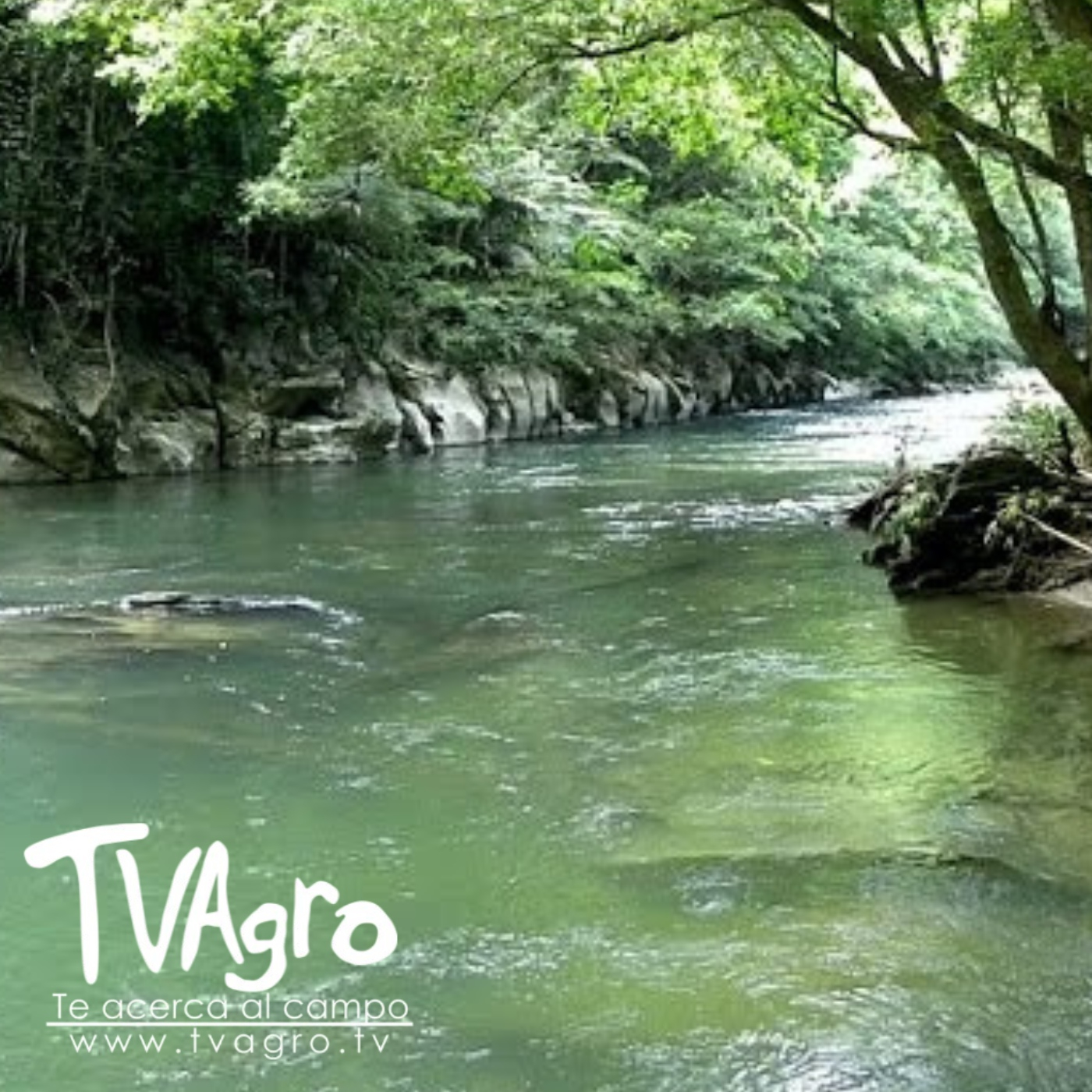 TV AGRO