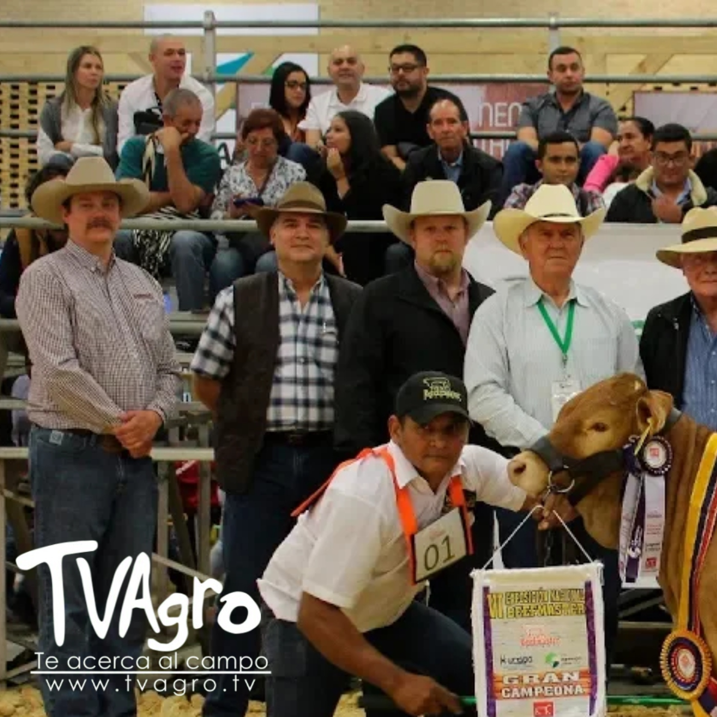 TV AGRO