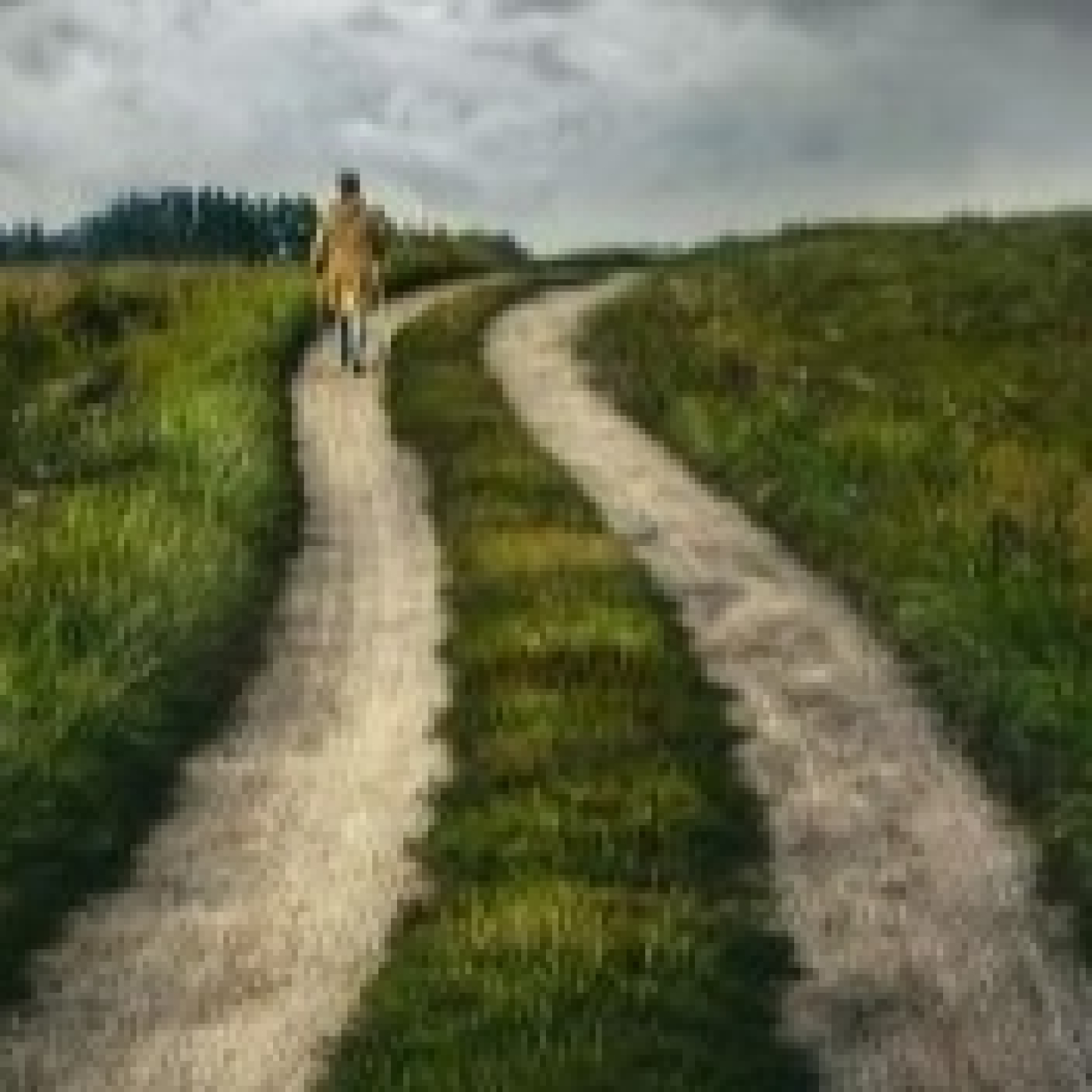 Caminando...