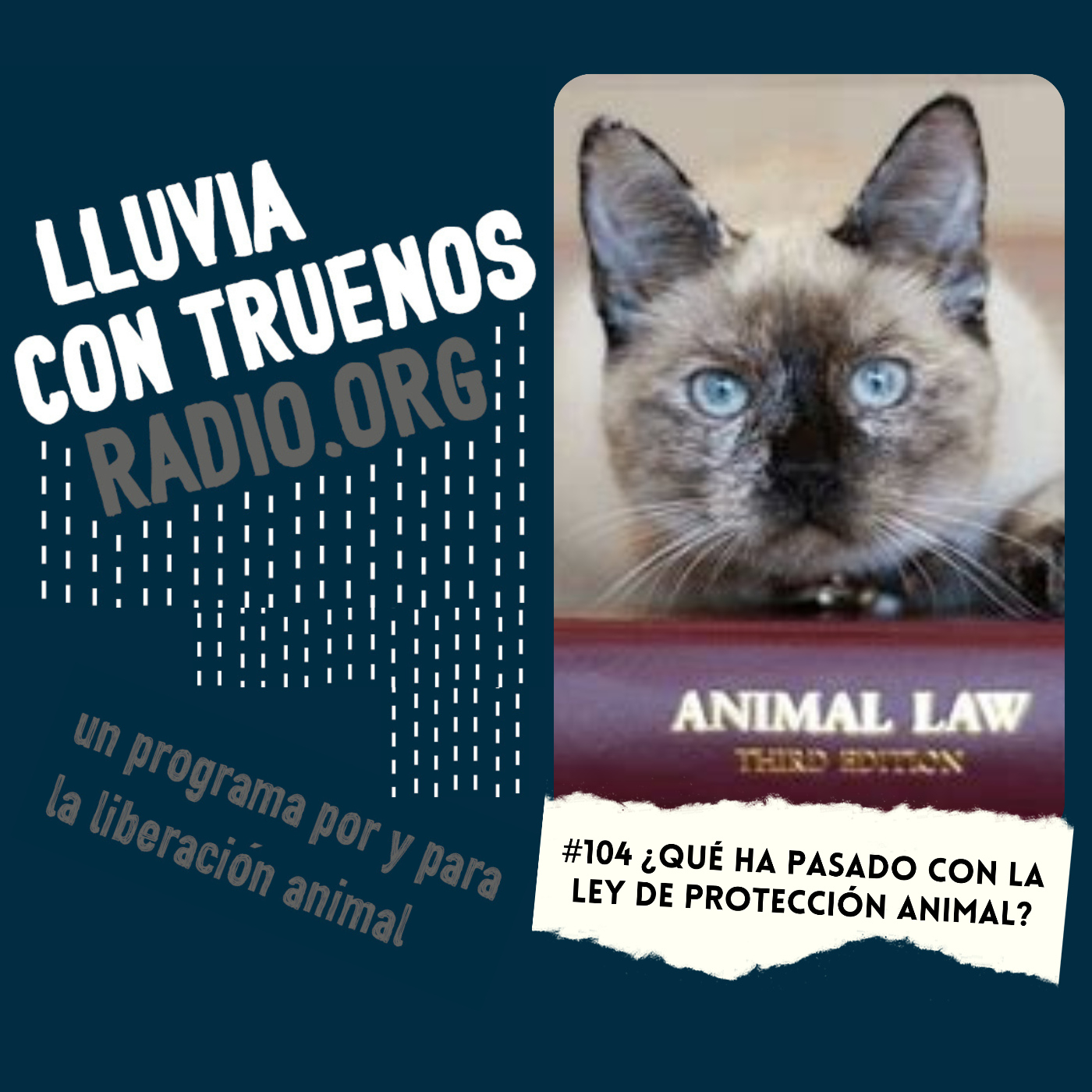 Lluvia con truenos radio