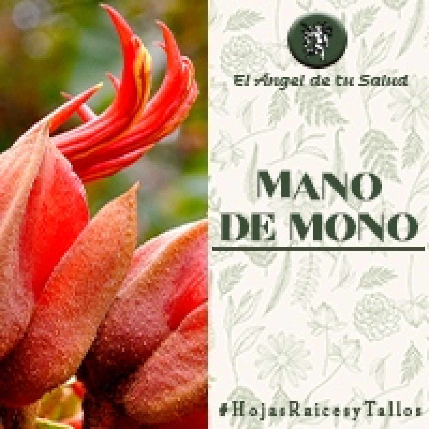 El Ángel de tu Salud - Mano de Mano** episode artwork