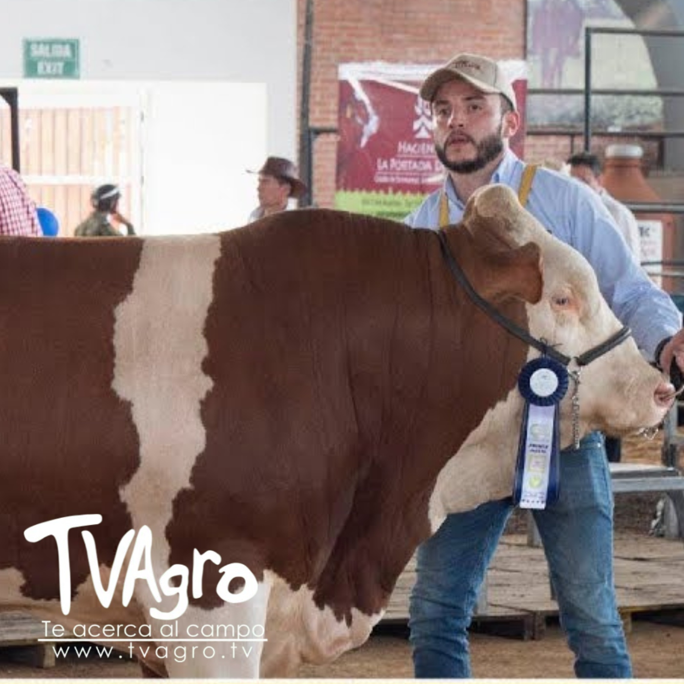 TV AGRO