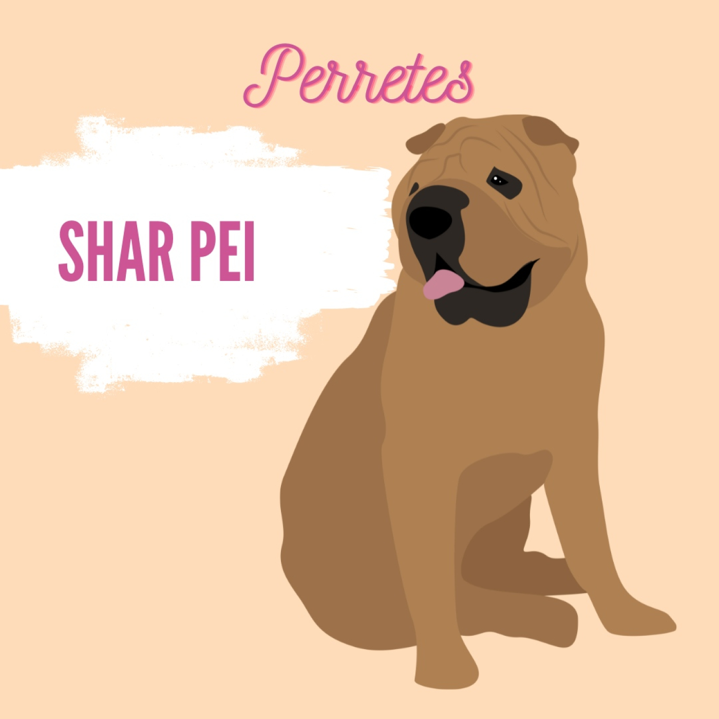Perretes | Las razas de perros