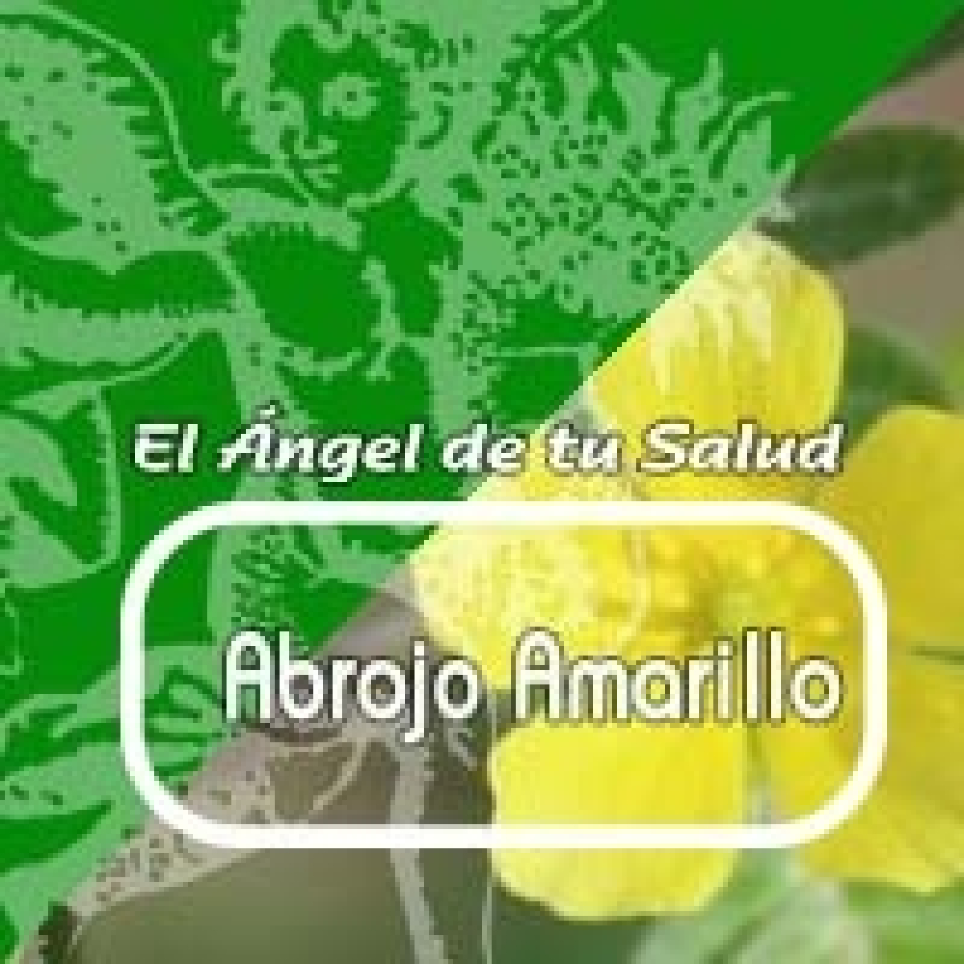 El Angel de tu Salud - ABROJO AMARILLO*