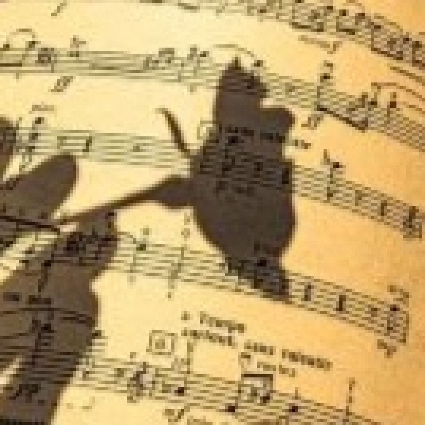 Canciones íntimas