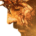 embed image