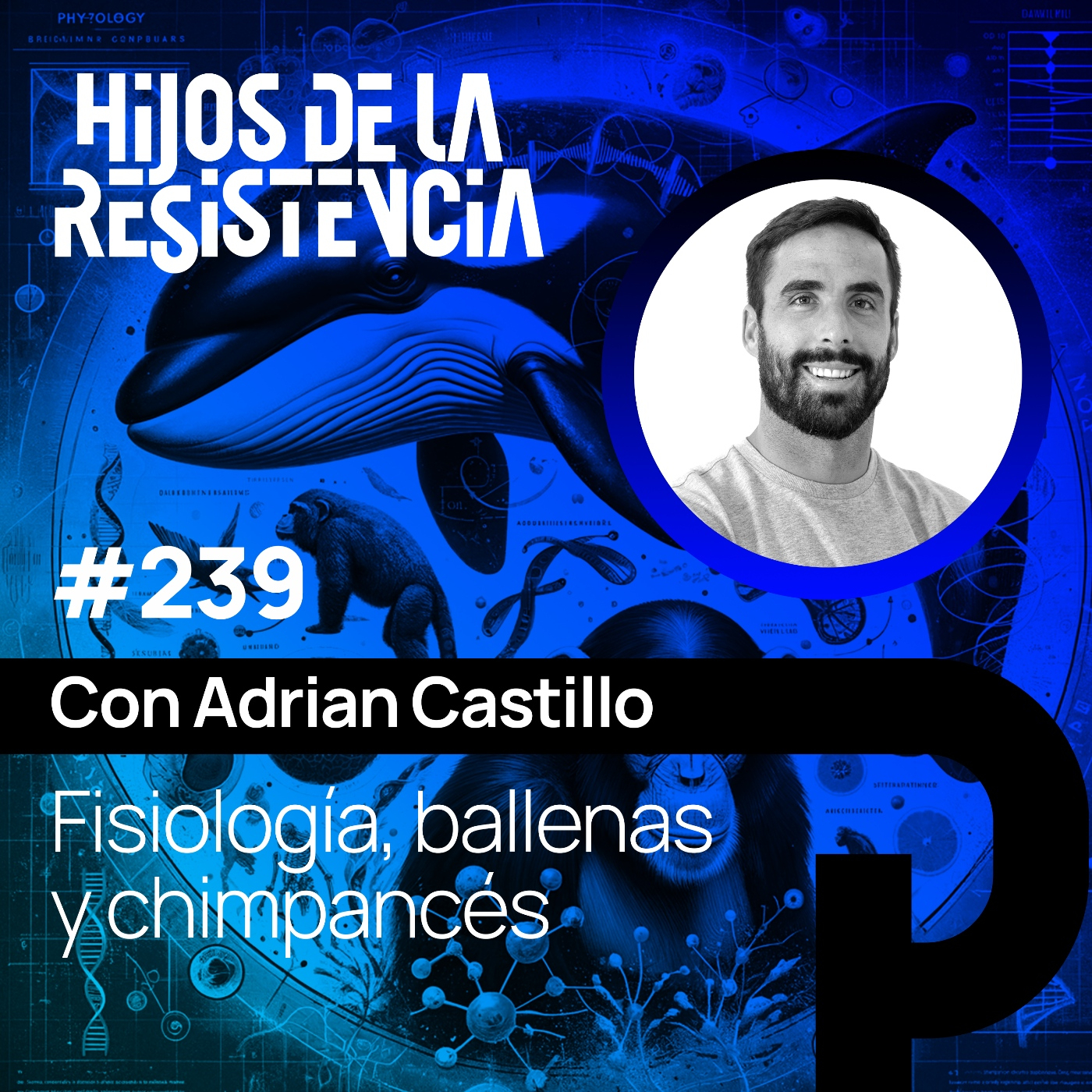 #239 Fisiología, ballenas y chimpancés, con Adrian Castillo