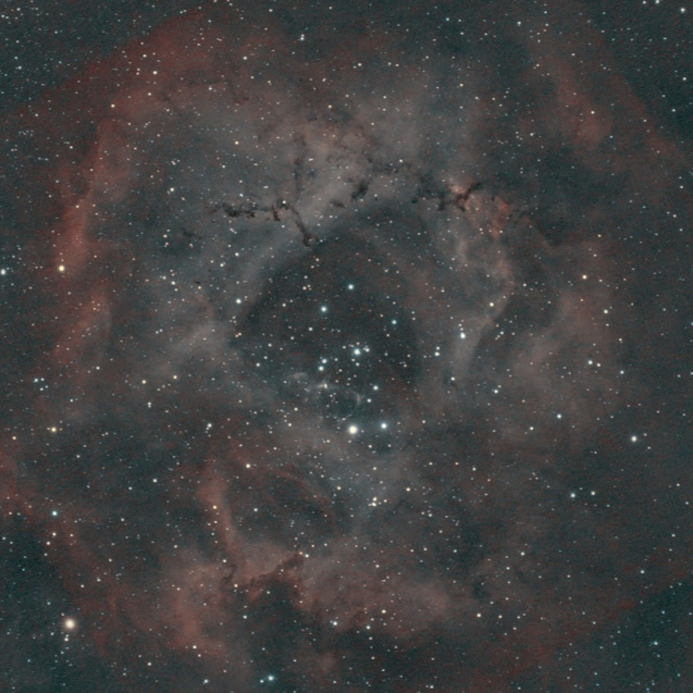 Bajo las estrellas, una mirada al universo
