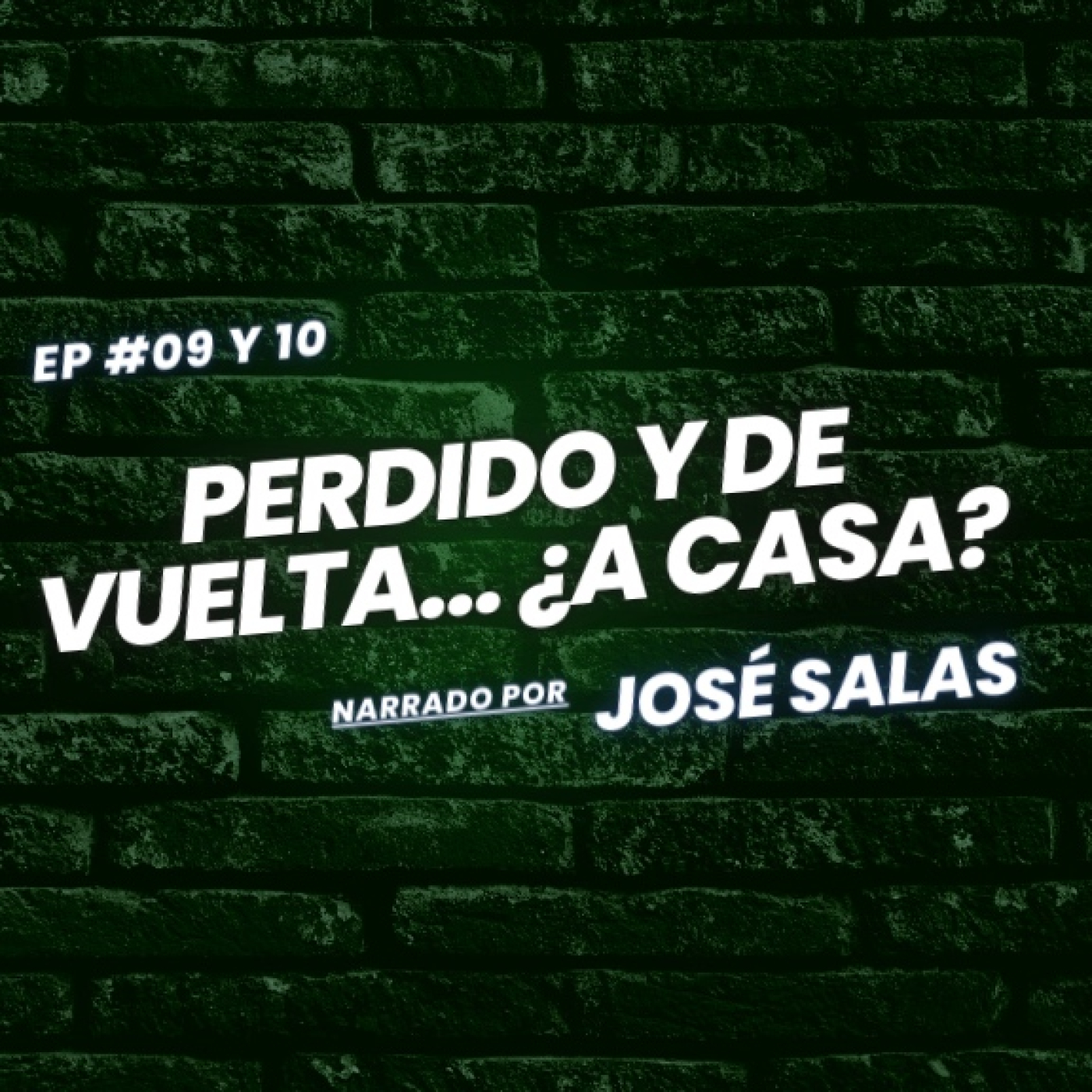 NO LE DES PALOMITAS A LOS CUERVOS