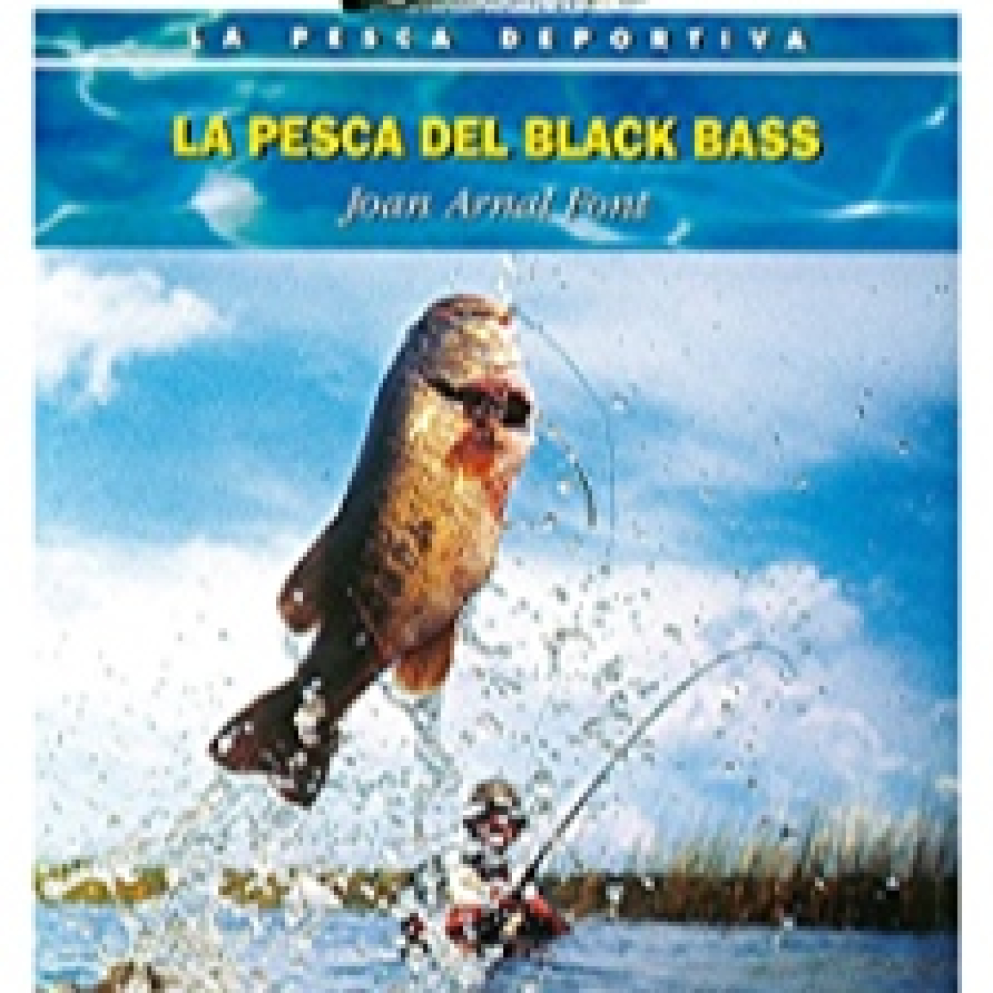 Rio de la Vida pesca