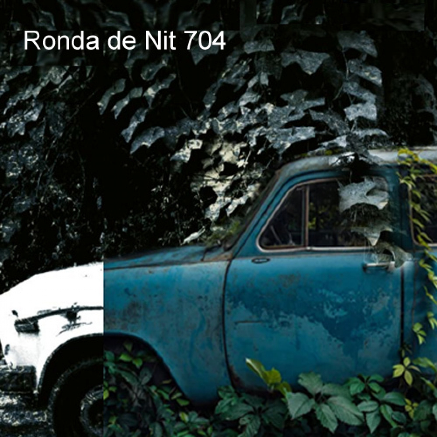 Ronda de Nit