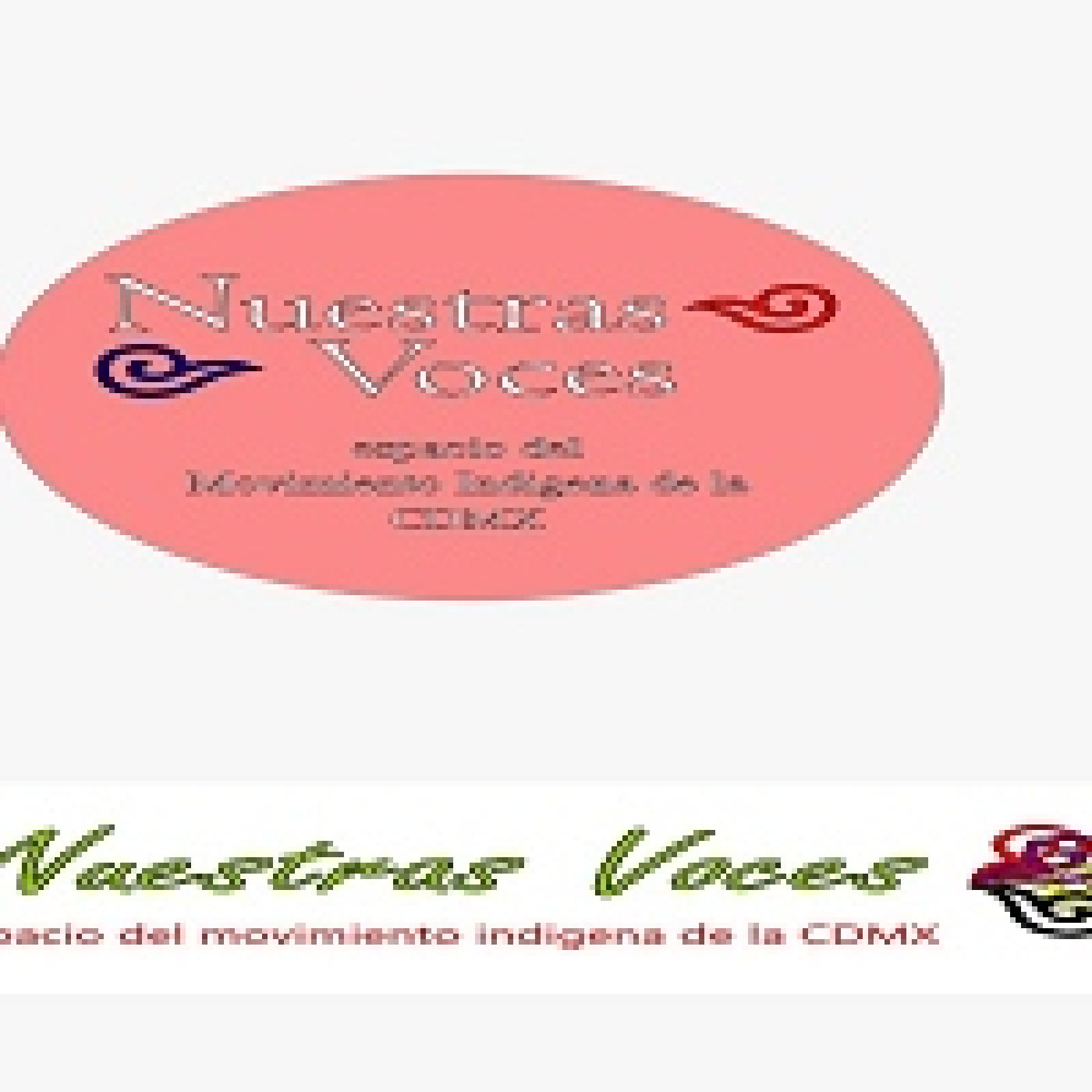 Nuestras Voces 08092025 p 363