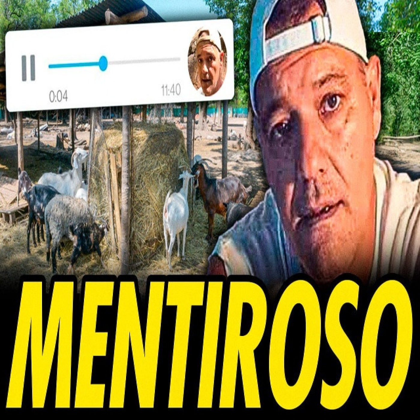 Los audios que hundieron a frank cuesta su santuario es una farsa?