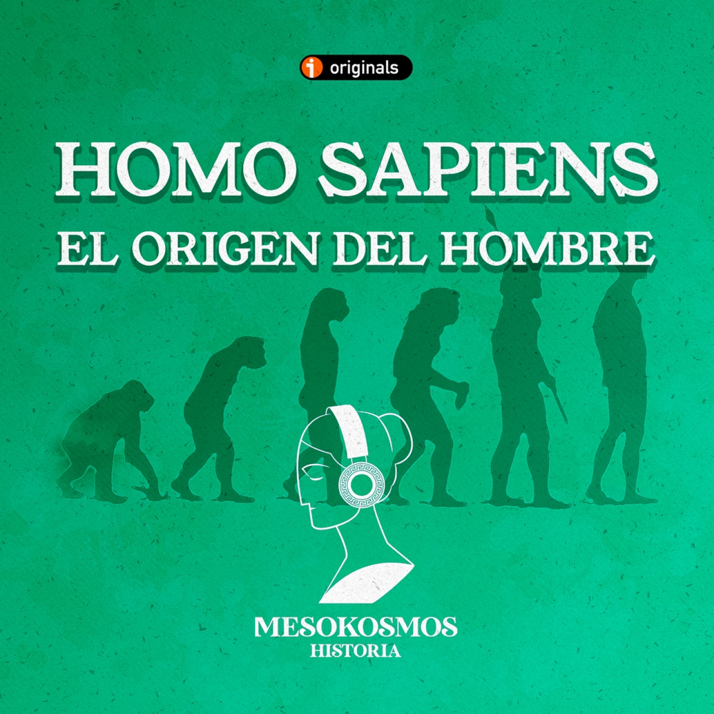 Mesokosmos Historia