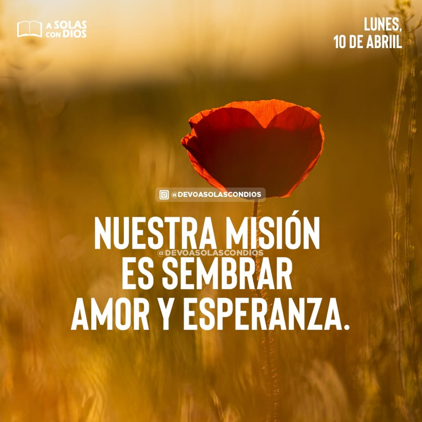 A Solas con Dios