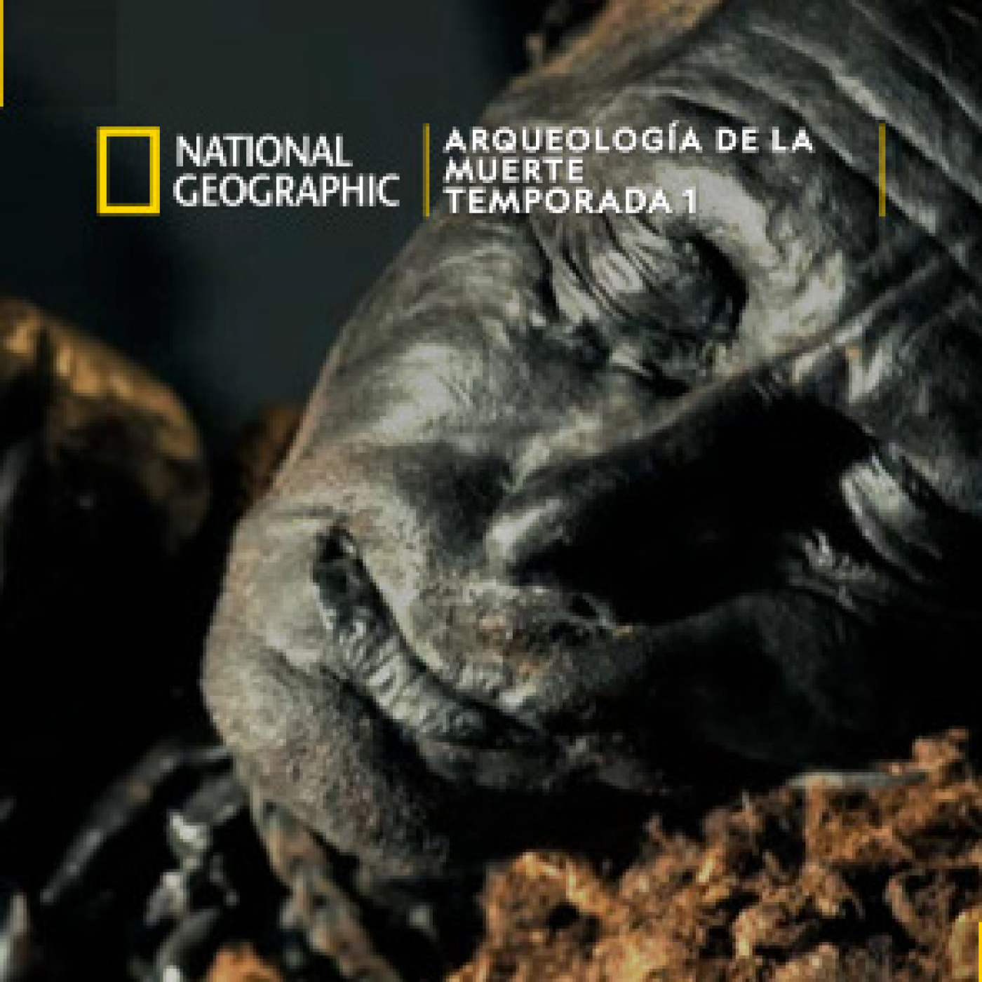 Arqueología de la muerte:Ötzi,el caso sin resolver más antiguo del mundo·El hombre de Croghan,asesinato entre la realeza