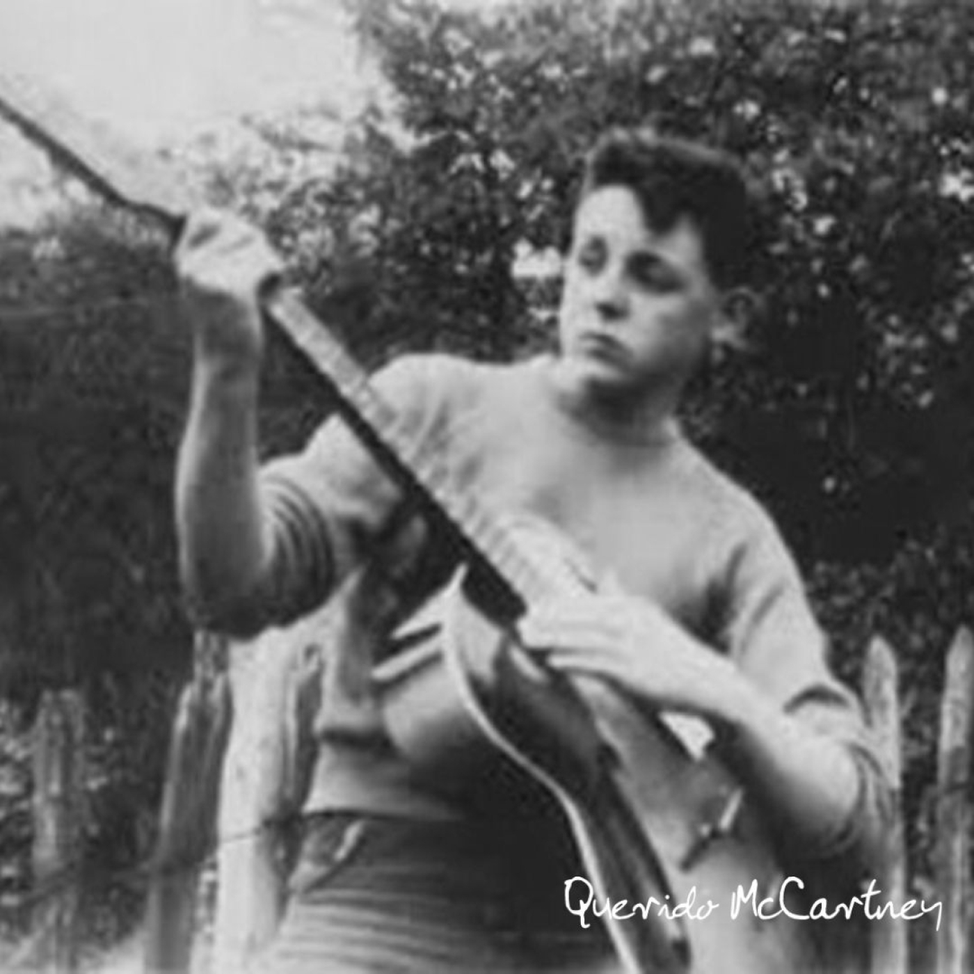 Querido McCartney
