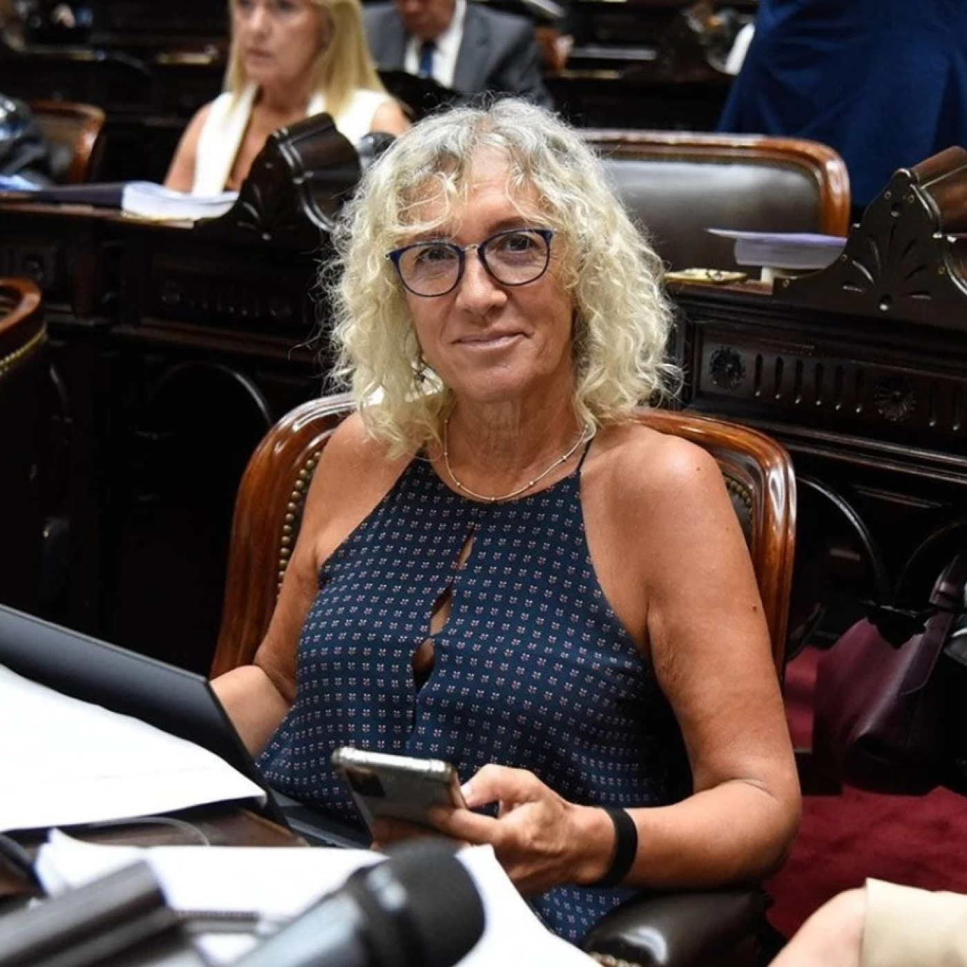 Mónica Frade @MonicaFradeok (Diputada Nacional por la Pcia. Bs As. Coalición Cívica, en JxC) Unas Cuantas Verdades