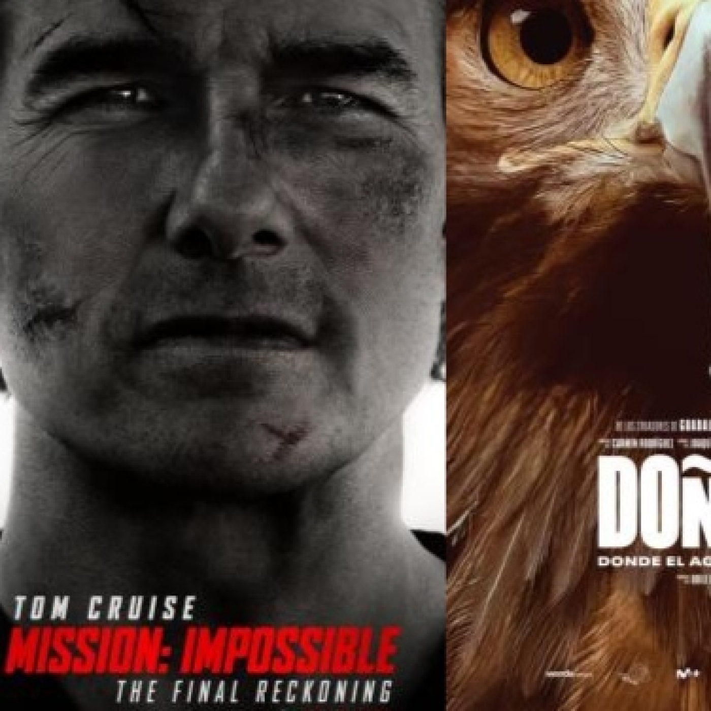 No Solo Cine en las Ondas