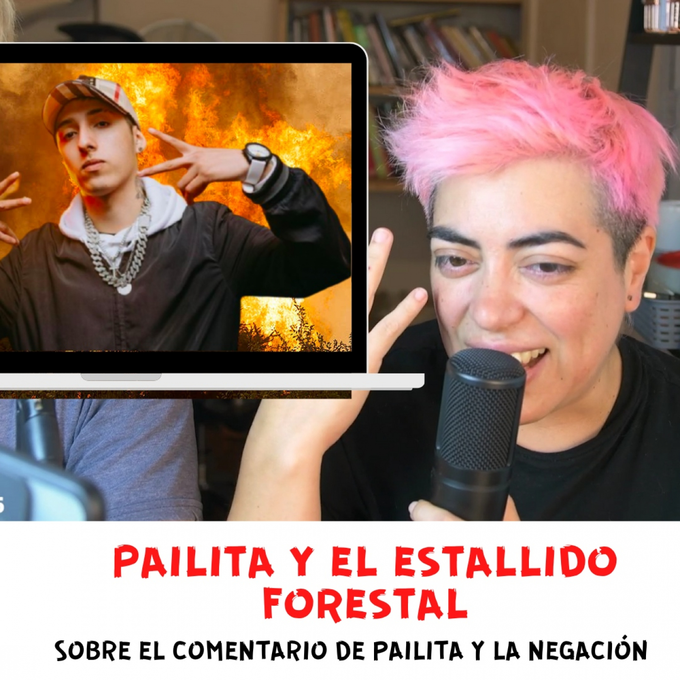 Capítulo 27: Pailita y el Estallido Forestal