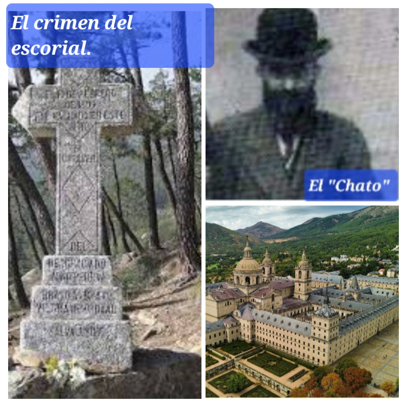 CRÓNICAS DE UN SERENO . ( El gato negro)