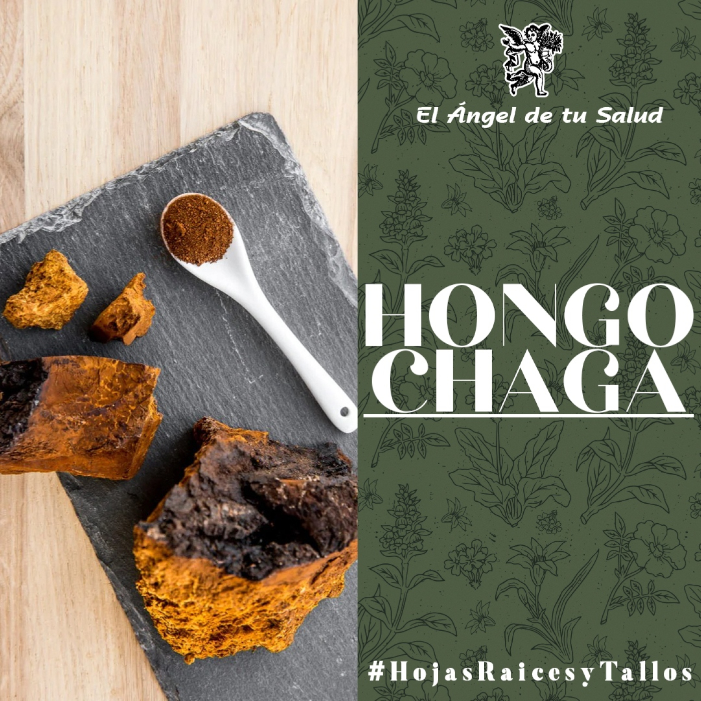 El Ángel de tu Salud - Hongo Chaga** episode artwork