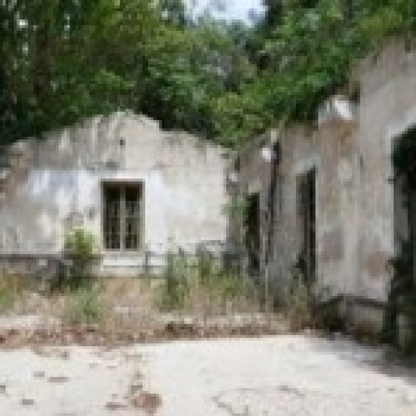 Vestigios
