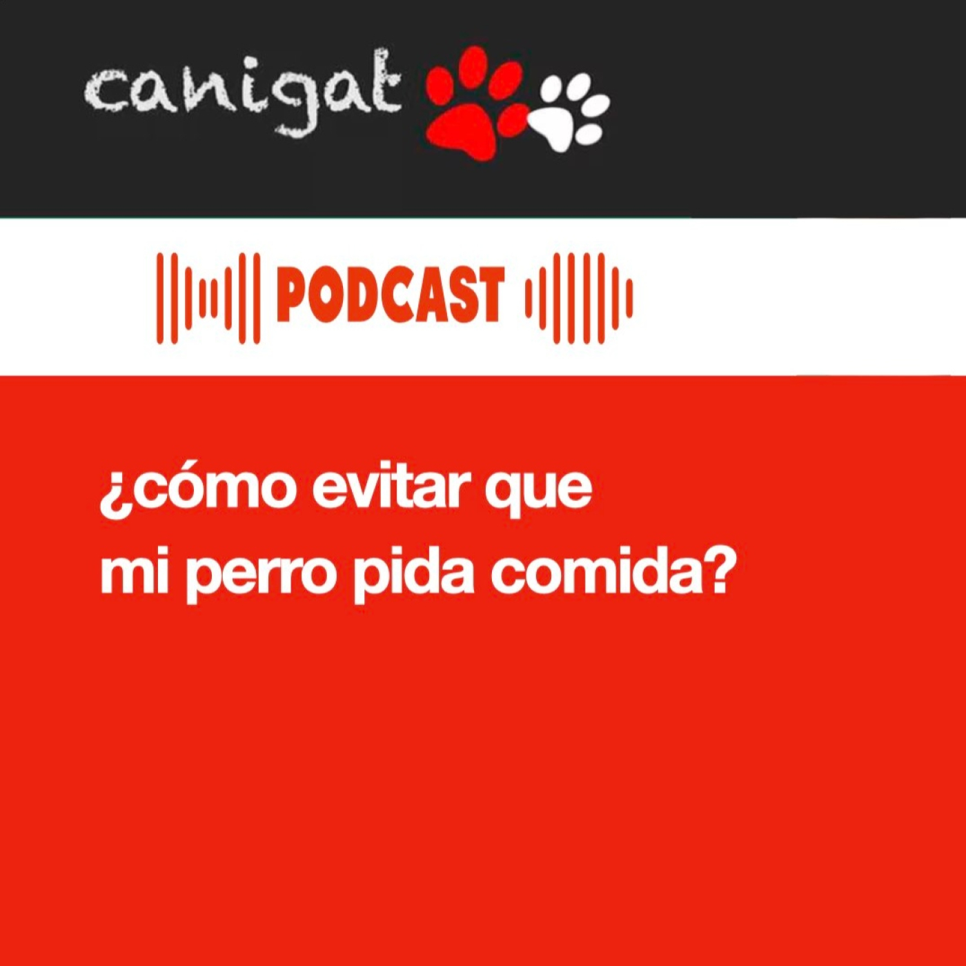 Consejos veterinarios de perros y gatos by canigat