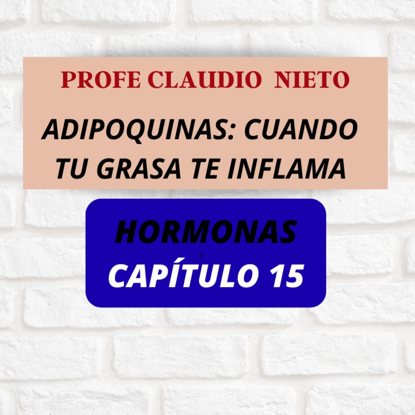 PROFE CLAUDIO NIETO