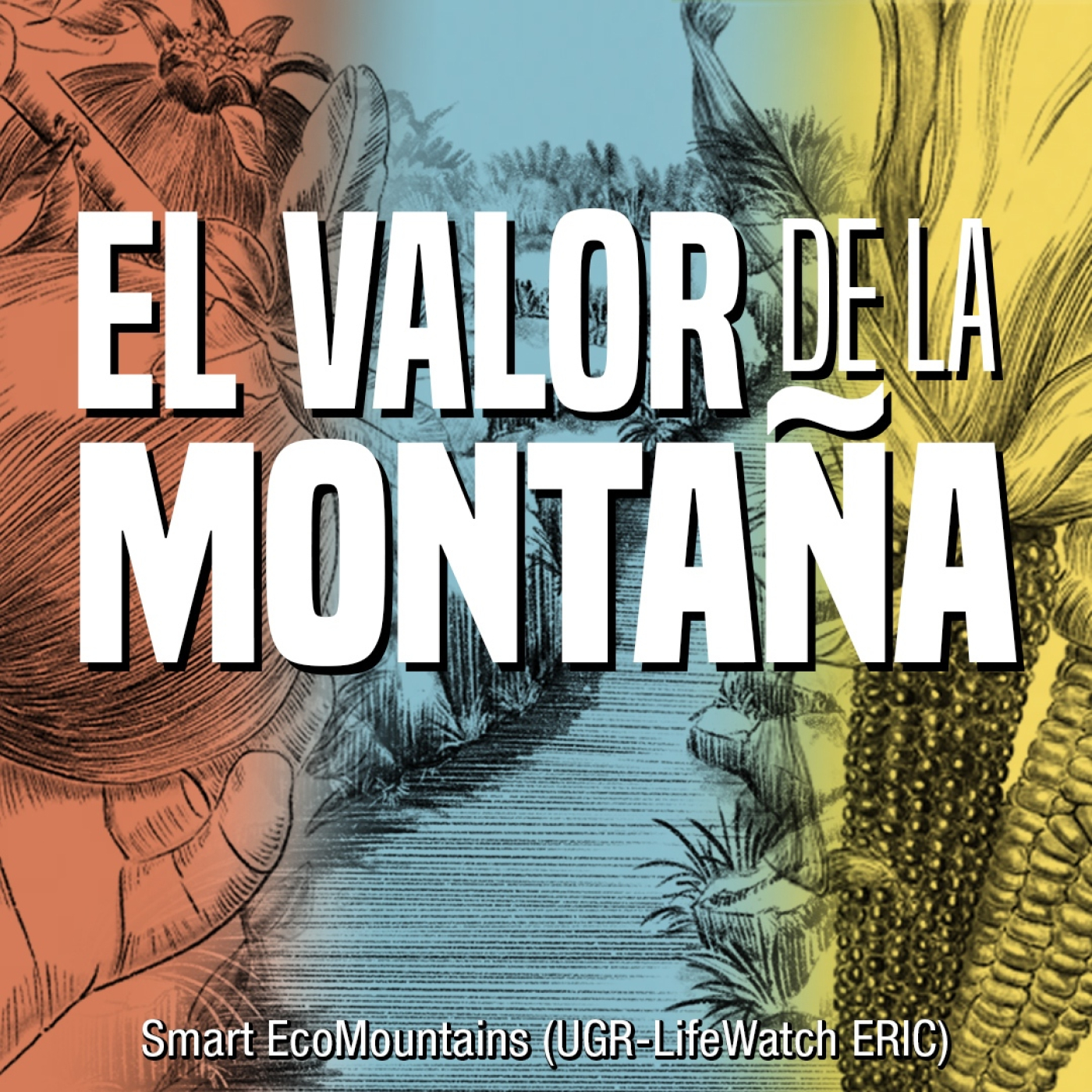 EL VALOR DE LA MONTAÑA: Un poco de información previa