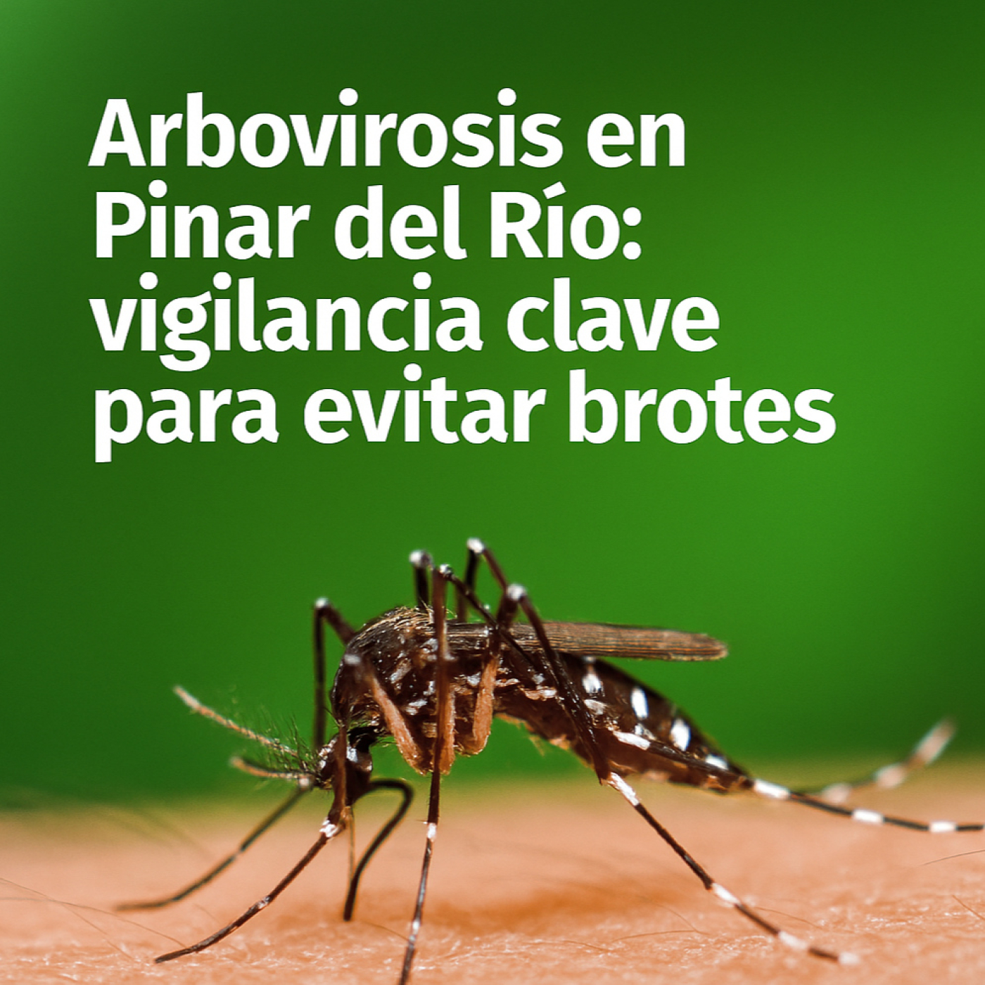Prevención y control de arbovirosis: prioridad sanitaria en Pinar del Río
