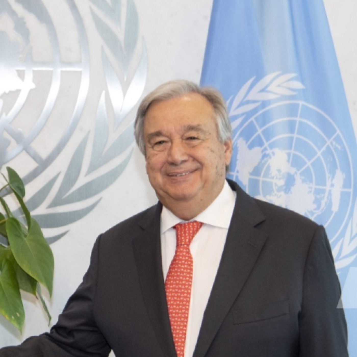 JESUS VIENE ANTES DEL 2031 Y LA AGENDA 2030 DE LA ONU episode artwork