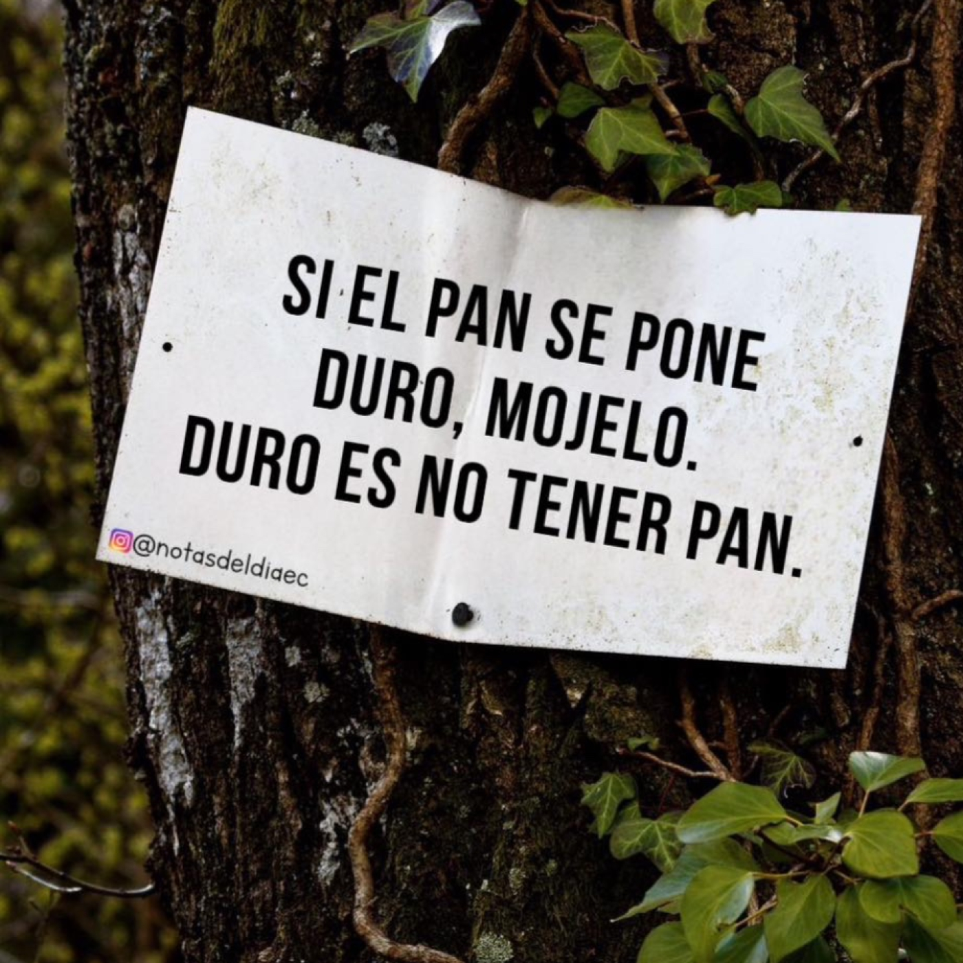 Eugenio A. Rodríguez: No se dice... episode artwork
